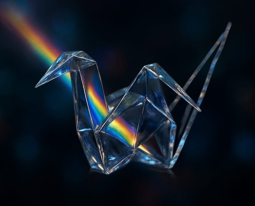 Scopri cosa la nostra agenzia può realmente fare per te