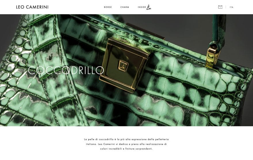 Leo Camerini Gallery Picture