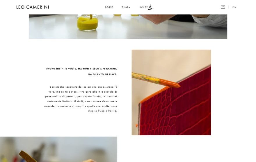 Leo Camerini Gallery Picture