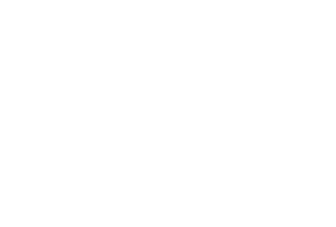 Leo Camerini | Handcrafted luxury crocodile peacock handbags borse coccodrillo pavone | Logo Cliente Bianco Customer White