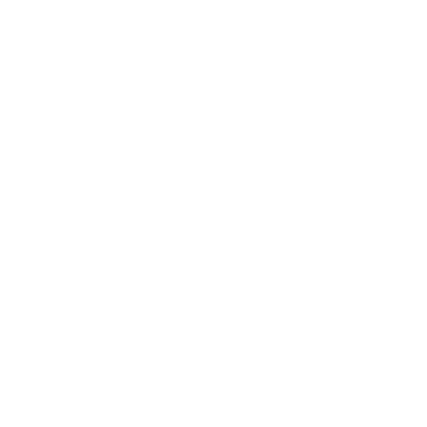 We Wealth | Investimenti Consulenza Patrimoniale | Logo Cliente Bianco Customer White